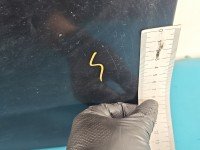 DRZWI PRZÓD LEWE KIEROWCY Citroen C1 I 5d czarny EXZ