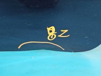 Drzwi tył lewe Suzuki Sx4 I 06- HB 5d ZJP