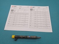 Wtryskiwacz Renault Megane II 1.5 dci