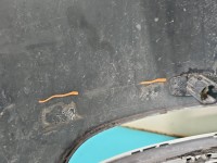 Zderzak tył Ford S-max II MK2 biały 5F HB