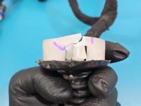 Instalacja Wiązka drzwi przód lewych CITROEN DS4 15-20 9810100880