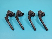 Cewka zapłonowa Renault Clio V 19- 1.3 Tce Renault, 4szt 224332935R, 224335066R, A2829060000