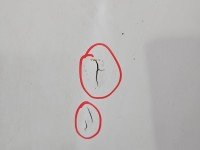 Maska przednia Mercedes 123 biały