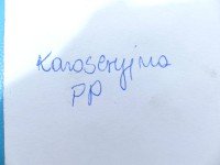 Uszczelka drzwi przód prawa BMW X3 F25 7396553