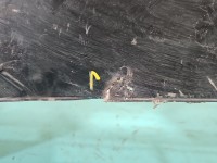 Zderzak przód Bmw e39 czarny 303/9