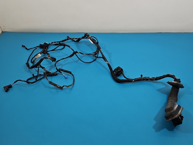 Instalacja Wiązka drzwi przód prawych BMW X6 E71 924207401, 9203114