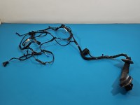 Instalacja Wiązka drzwi przód prawych BMW X6 E71 924207401, 9203114