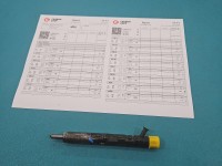 Wtryskiwacz Renault Megane II 1.5 dci