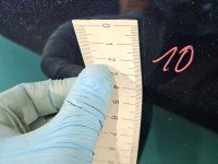 DRZWI PRZÓD PRAWE PASAŻERA Vw Passat B7 5d granatowy LH5X/ Z2Z2