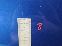 Maska przednia Renault Megane III niebieski TERNA