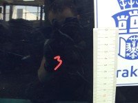 DRZWI PRZÓD LEWE KIEROWCY Mazda 2 5d czarny A5D