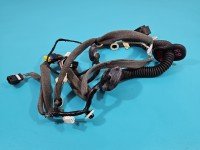 Instalacja Wiązka drzwi przód prawych Renault Scenic III 241256368R