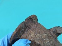 Turbosprężarka Fiat Ducato III 06-14 boxer jumper 49135-05131, 504340182 2.3 jtd 120KM