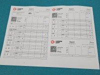 TESTOWANY Wtryskiwacz Citroen C4 picasso I 06-13 0445110259 1.6 hdi