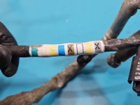 Rura przewód TOYOTA, Diesel, Europejska, Adblue zbiornik-wtryskiwacz Toyota Proace City 9826303580 1.5 D4D