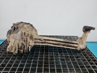 Most przedni przód Kia Sportage I 2.0b