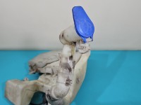 Zbiornik Zbiorniczek płynu spryskiwacza Ford S-max I MK1