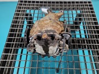 Most tylny DYFER tył Mercedes W202 1.8 wiel