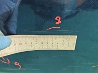 DRZWI PRZÓD PRAWE PASAŻERA Opel Insignia A 5d granatowy z22a