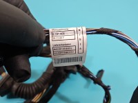 Instalacja Wiązka drzwi przód lewych BMW X1 E84 9233550-01, 9191808