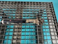 Amortyzator tył lewy Audi 80 B4 sedan tylny