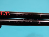 Siłowniki klapy komplet teleskop Nissan Juke I F15 10-19