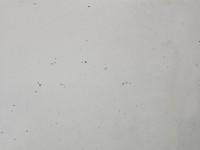 Maska przednia Opel Movano II