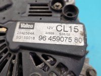 TEST Alternator Peugeot 307 9645907580, 2542564A 2.0 hdi