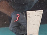 DRZWI PRZÓD LEWE KIEROWCY Mazda 6 II GH 5d czarny 35N