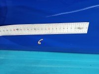 DRZWI PRZÓD PRAWE PASAŻERA Skoda Fabia II 5d niebieski 4590