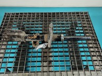 Amortyzator przód lewy przedni Dodge Caravan V 07-20