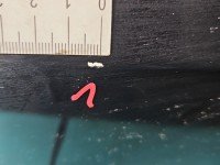 DRZWI PRZÓD LEWE KIEROWCY Seat Ibiza IV 6J 5d LZ9Y