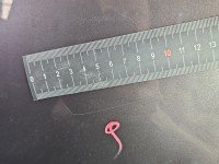 DRZWI PRZÓD PRAWE PASAŻERA Nissan X-trail II T31 5d brązowy k55