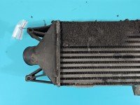 Intercooler Iveco Daily IV 06-14 3.0 HPI