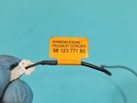 Mikrofon Peugeot Expert III 16- 9812377180