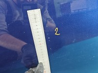 DRZWI PRZÓD PRAWE PASAŻERA Vw Jetta V 4d granatowy LD5Q