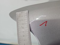 Błotnik przód lewy Ford Freestyle Taurus X beżowy PNUPL0 - Silver Birch Metallic