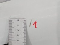 Maska przednia Vw Transporter T4 biały