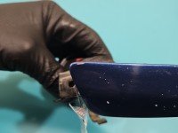 Spryskiwacz reflektora lewy Audi A3 8P 8P3955276 xenon