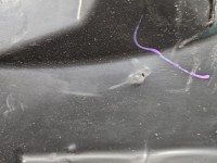 Mocowanie uchwyt Ford Puma II MK2 19-