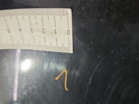 Maska przednia Skoda Superb I 9910