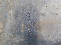 Błotnik przód prawy Renault Scenic II srebrny TED69