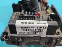 Sterownik moduł Peugeot 307 9650664080