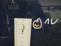 Drzwi tył lewe Ford Fusion HB 5d granatowy JU2