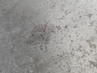 Wzmocnienie zderzaka przód belka Peugeot 308 II T9 przednie KTVD
