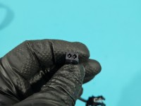 Pas bezpieczeństwa przód prawy pasażera Skoda Superb II 3T1857702, 3T0858471