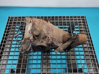 Most tylny DYFER tył Opel Omega B 90446890 3.0 V6