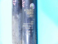 Amortyzator tył komplet tylny lewy prawy Renault Trafic III L+P