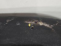 Zderzak przód Honda CR-V I