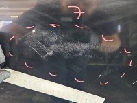 Drzwi tył lewe Infiniti FX I HB 5d czarny KH3